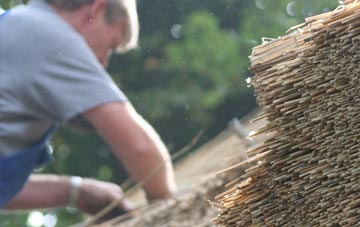 professional Whipton thatchers